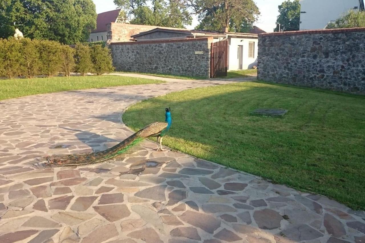 Slovak Cottage Near Bratislava In The Heart Of The Carpathians Modra Buitenkant foto