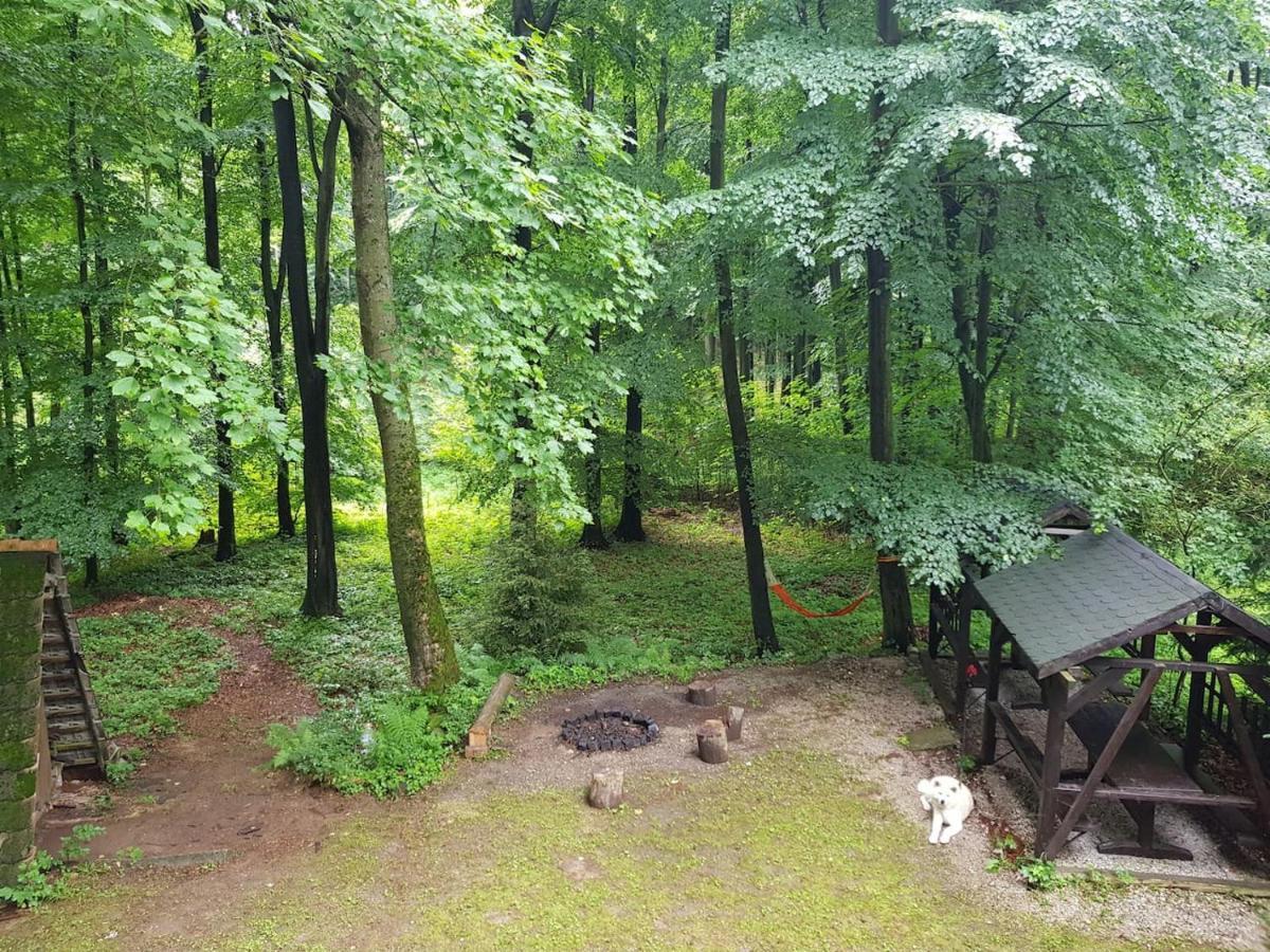 Slovak Cottage Near Bratislava In The Heart Of The Carpathians Modra Buitenkant foto