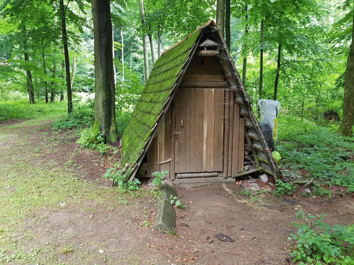 Slovak Cottage Near Bratislava In The Heart Of The Carpathians Modra Buitenkant foto
