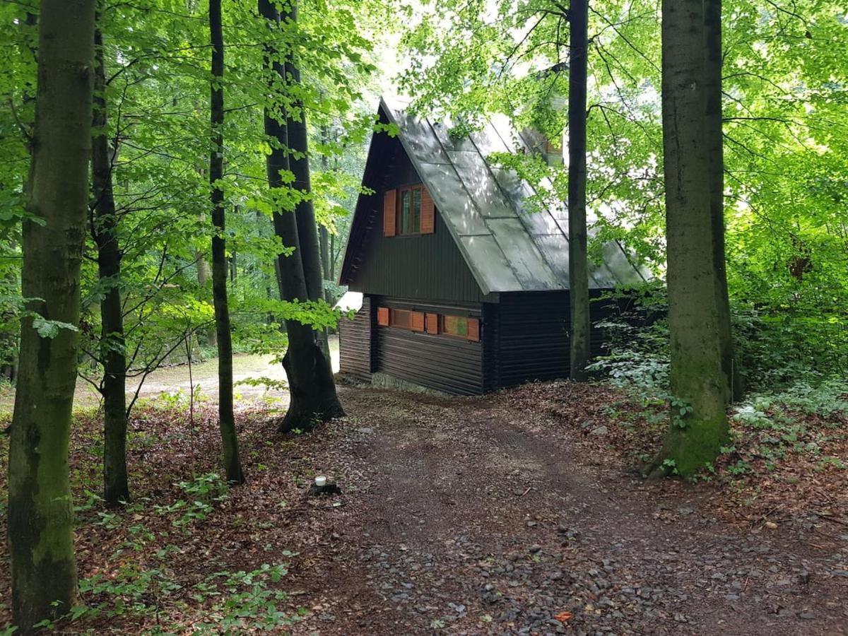 Slovak Cottage Near Bratislava In The Heart Of The Carpathians Modra Buitenkant foto